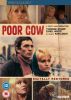 Poor Cow DVD cover image