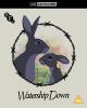 Watership Down (Limited Edition 4K Ultra HD Edition)