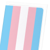 Transgender Pride LGBTQIA+ Greeting Card